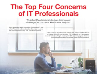 The Top Four Concerns of IT Professionals ebook cover Loffler Companies