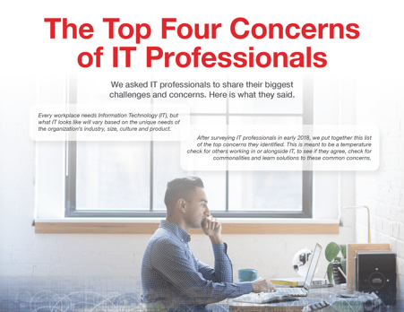 The Top Four Concerns of IT Professionals ebook cover Loffler Companies