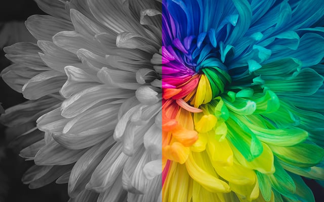 Six Factors that Drive the Cost of Printing Up or Down | Loffler