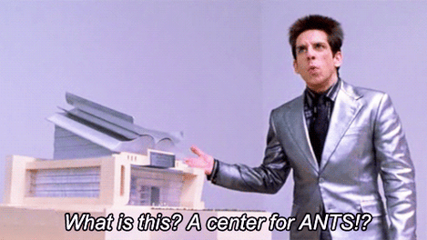 Derek Zoolander asking, "What is this? A school for ants?"