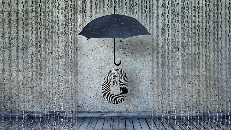 Data Security Checkpoints You Might Be Missing | Loffler