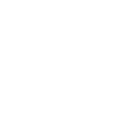 IT Security Solutions Icon